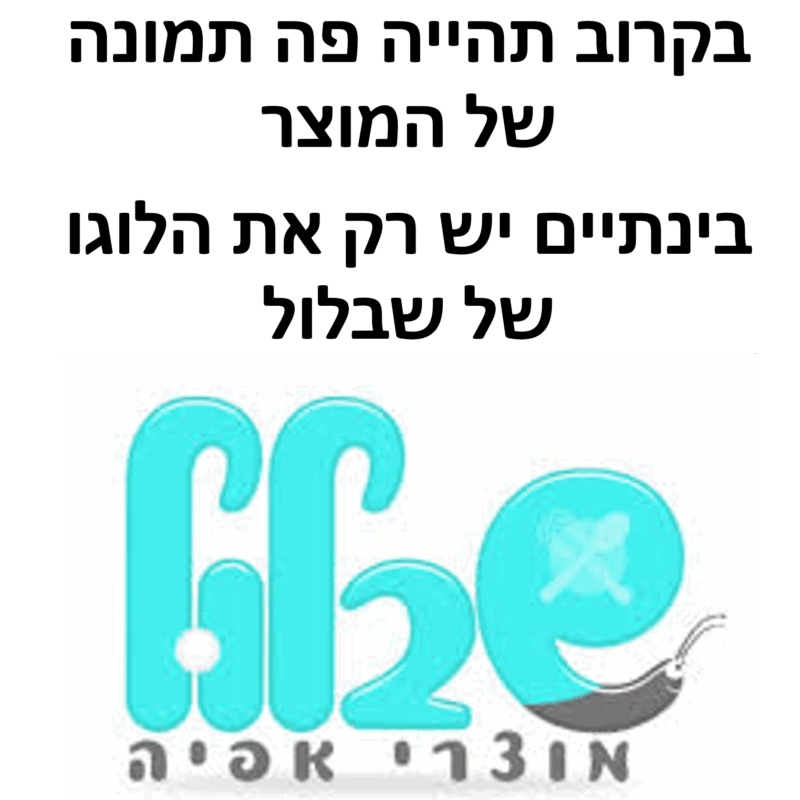 5 יחידות פוקר עגול 29 ס"מ שיש זהב